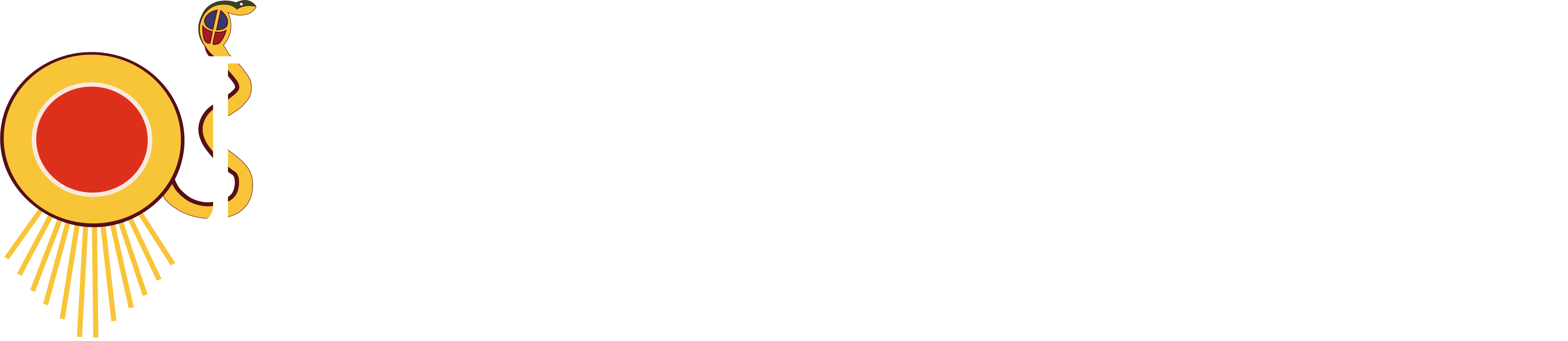 Ruch Odrodzenie